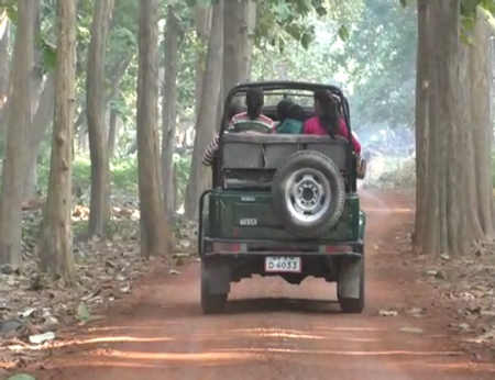 Safari in Dudhwa National Park